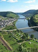 Neef/Mosel